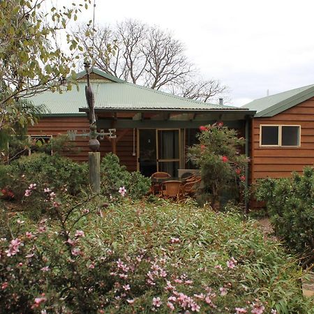 Sunflowers Animal Farm & Farmstay Margaret River Luaran gambar