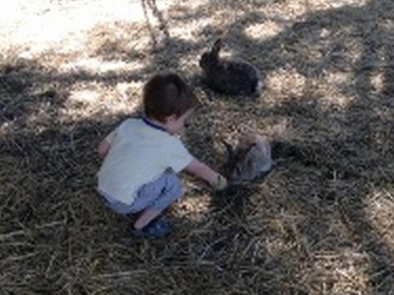 Sunflowers Animal Farm & Farmstay Margaret River Luaran gambar