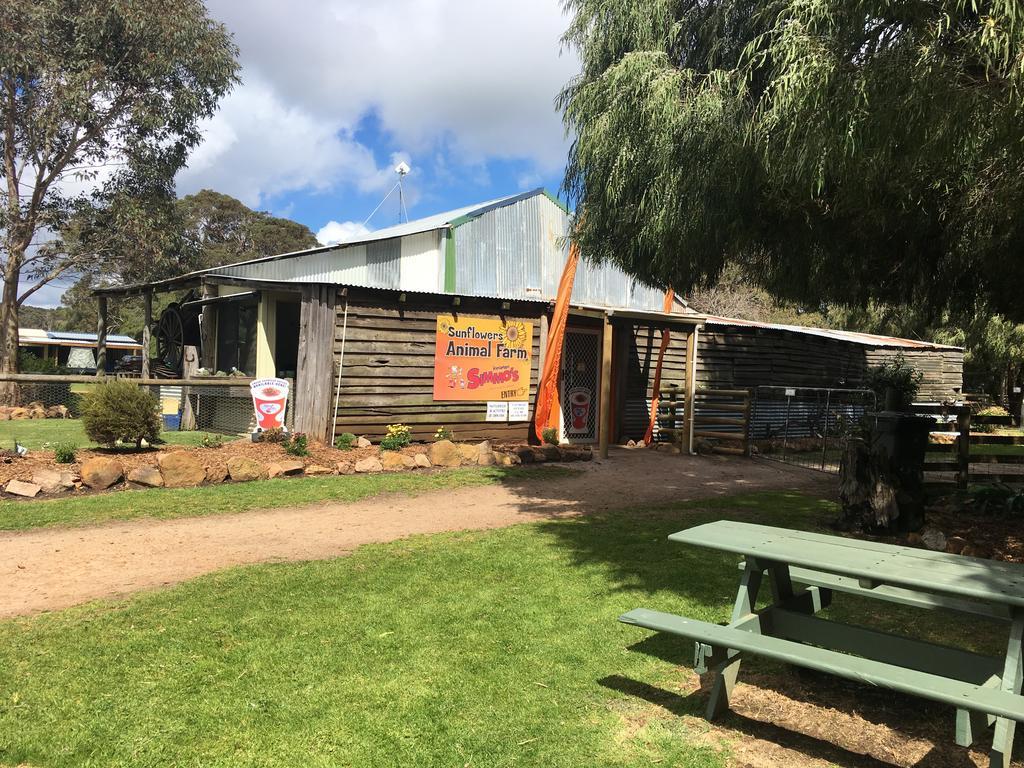 Sunflowers Animal Farm & Farmstay Margaret River Luaran gambar